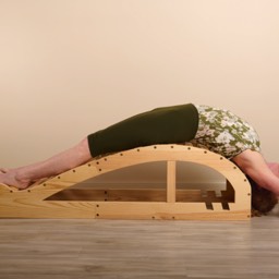 Iyengar Yoga Pose 1