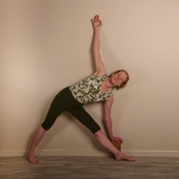 Iyengar Yoga Pose 2