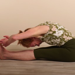 Iyengar Yoga Pose 3